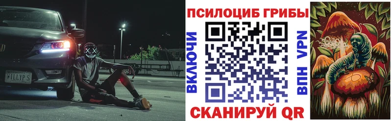 купить   Нытва  Псилоцибиновые грибы мухоморы 